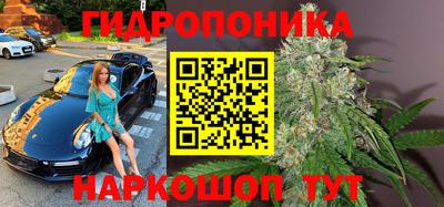 a pvp Абакан