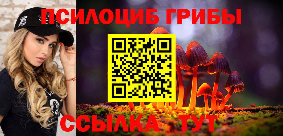 Анапа  Галлюциногенные грибы Magic Shrooms  закладки  Вход с VPN 